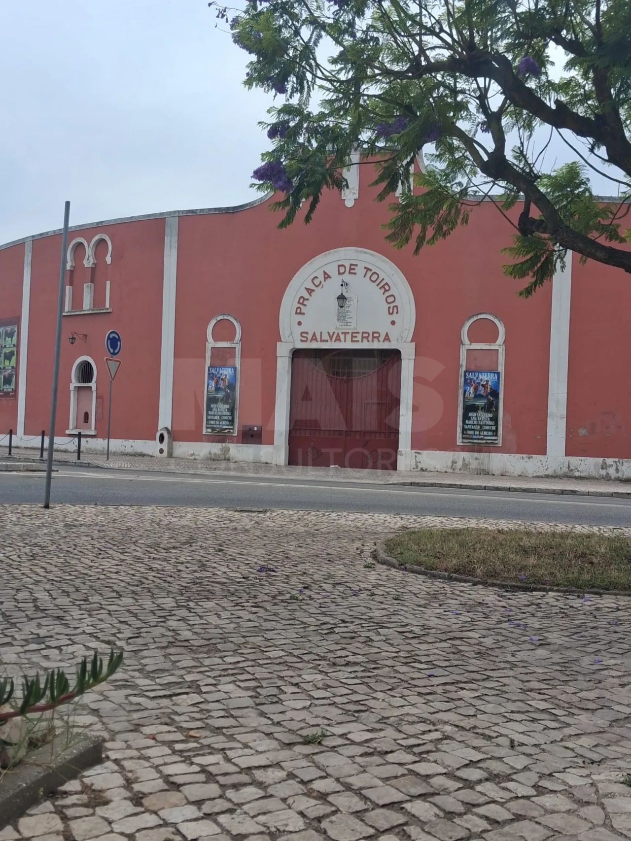 Moradia T1 para Venda em Salvaterra de Magos e Foros de Salvaterra Foto 5