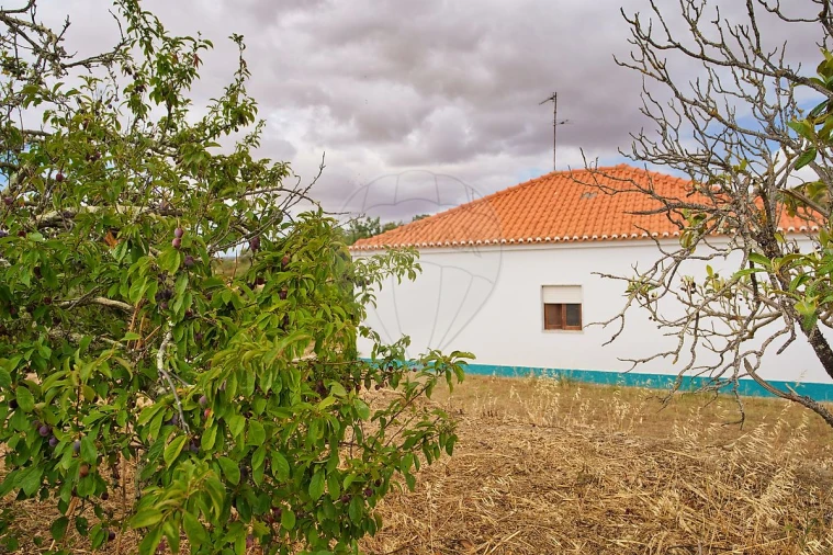 Moradia T2 para Venda em Castro Verde e Casével Foto 30