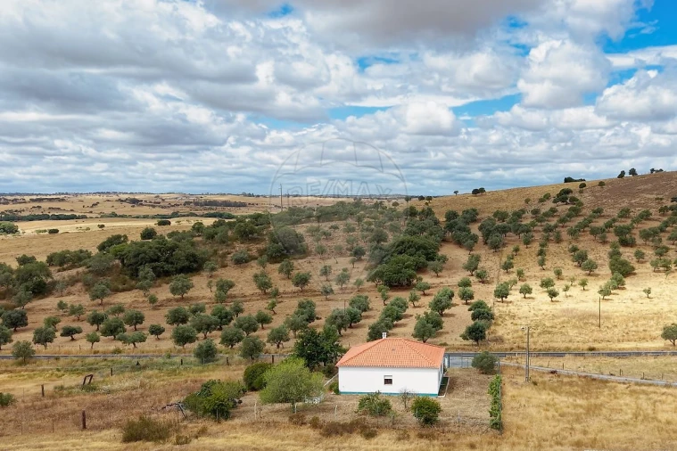 Moradia T2 para Venda em Castro Verde e Casével Foto 31