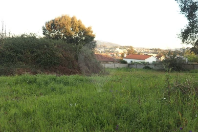 Terreno para Venda em Avidos e Lagoa