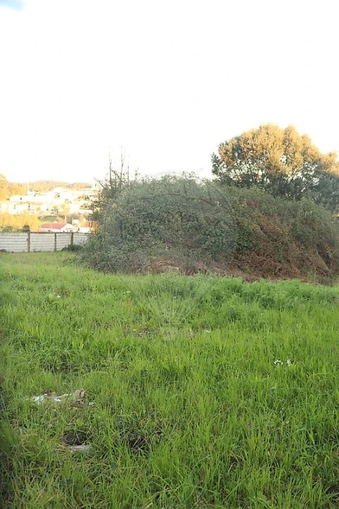 Terreno para Venda em Avidos e Lagoa