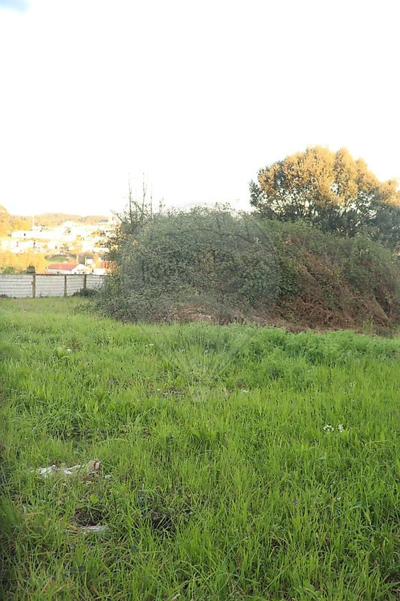 Terreno para Venda em Avidos e Lagoa Foto 13