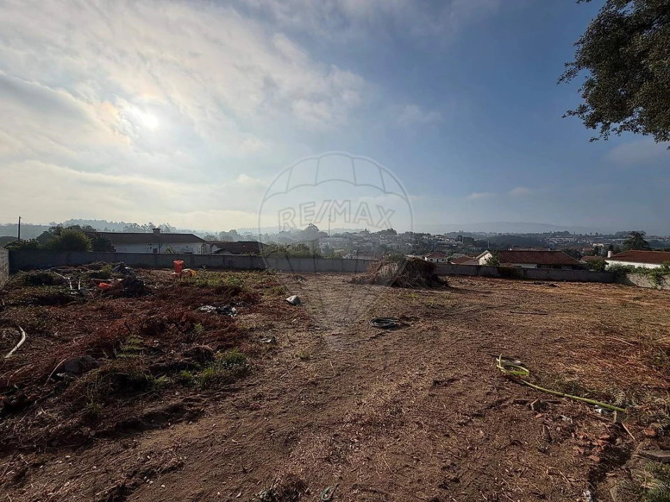 Terreno para Venda em Avidos e Lagoa Foto 8