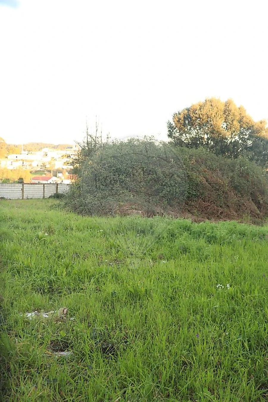 Terreno para Venda em Avidos e Lagoa Foto 13
