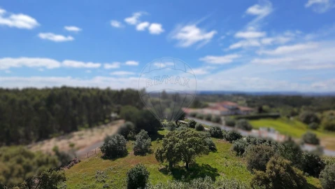 Terreno para Venda em Vale do Paraiso