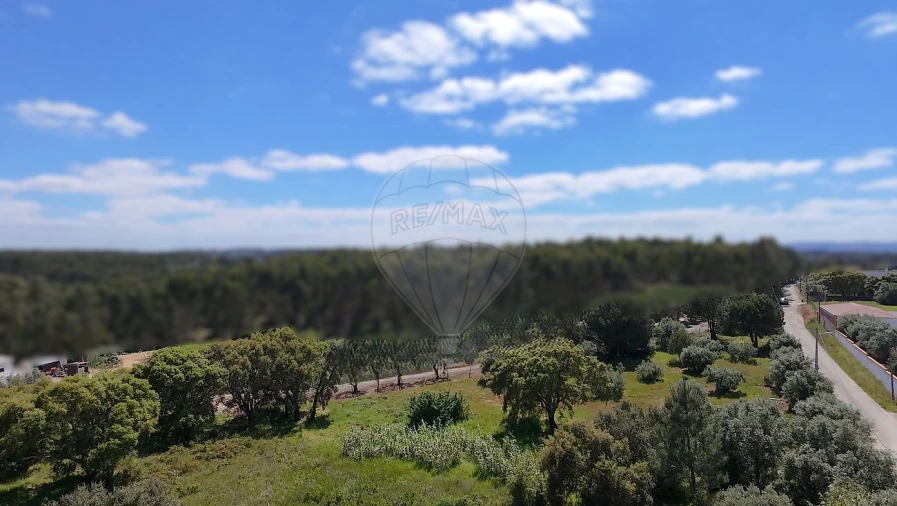 Terreno para Venda em Vale do Paraiso Foto 3