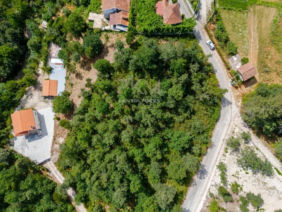 Terreno para Venda em Vila Chã do Marão Foto 12