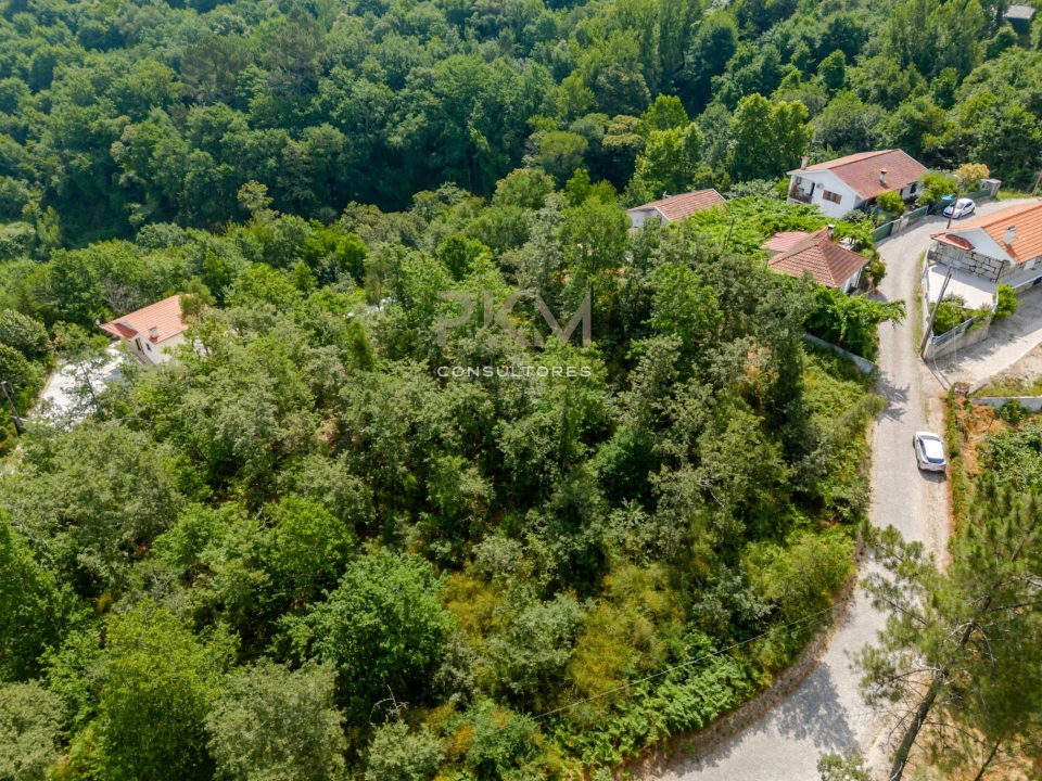 Terreno para Venda em Vila Chã do Marão Foto 21