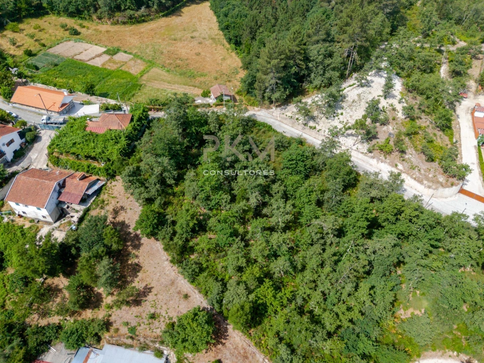 Terreno para Venda em Vila Chã do Marão Foto 23