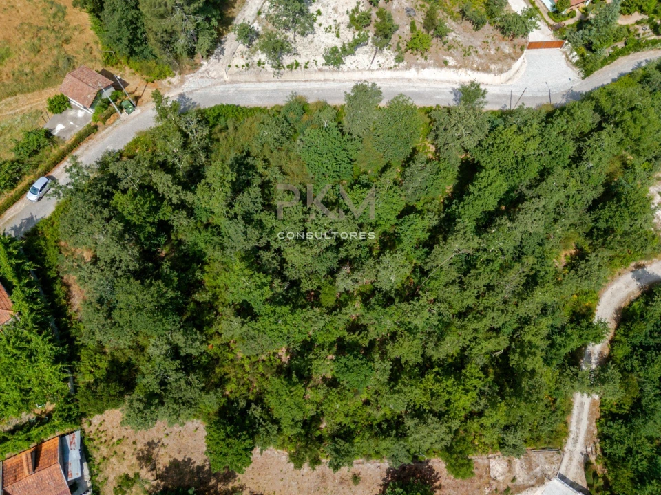 Terreno para Venda em Vila Chã do Marão Foto 27