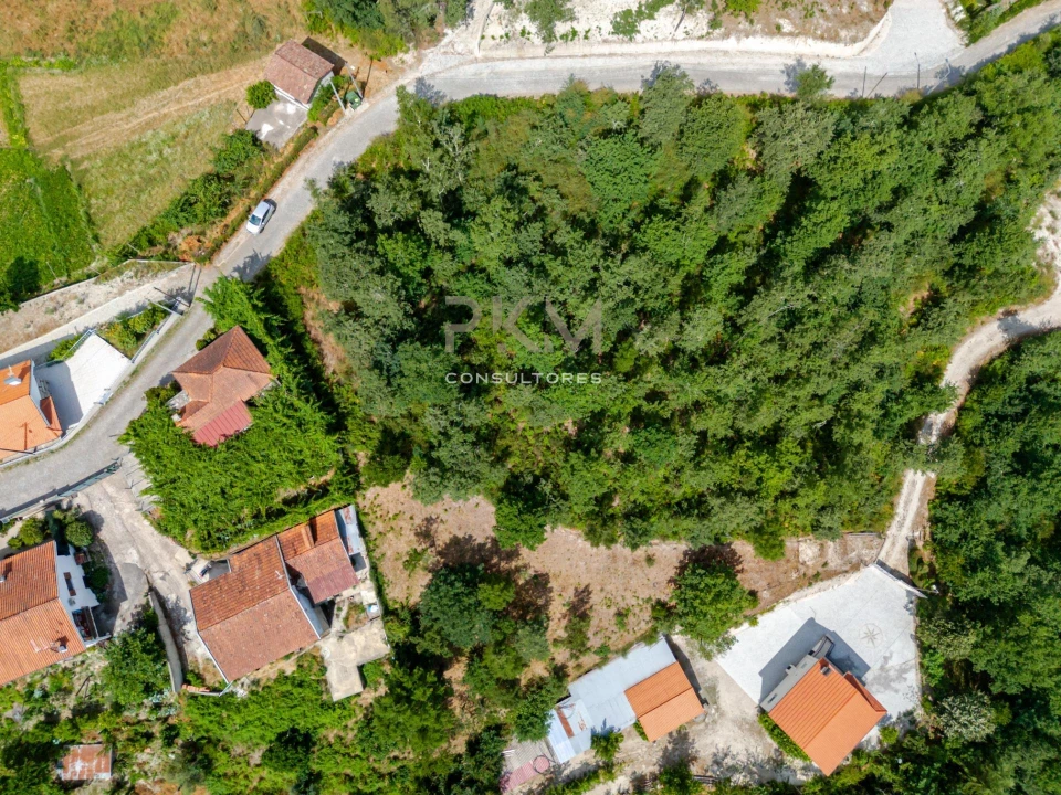 Terreno para Venda em Vila Chã do Marão Foto 29