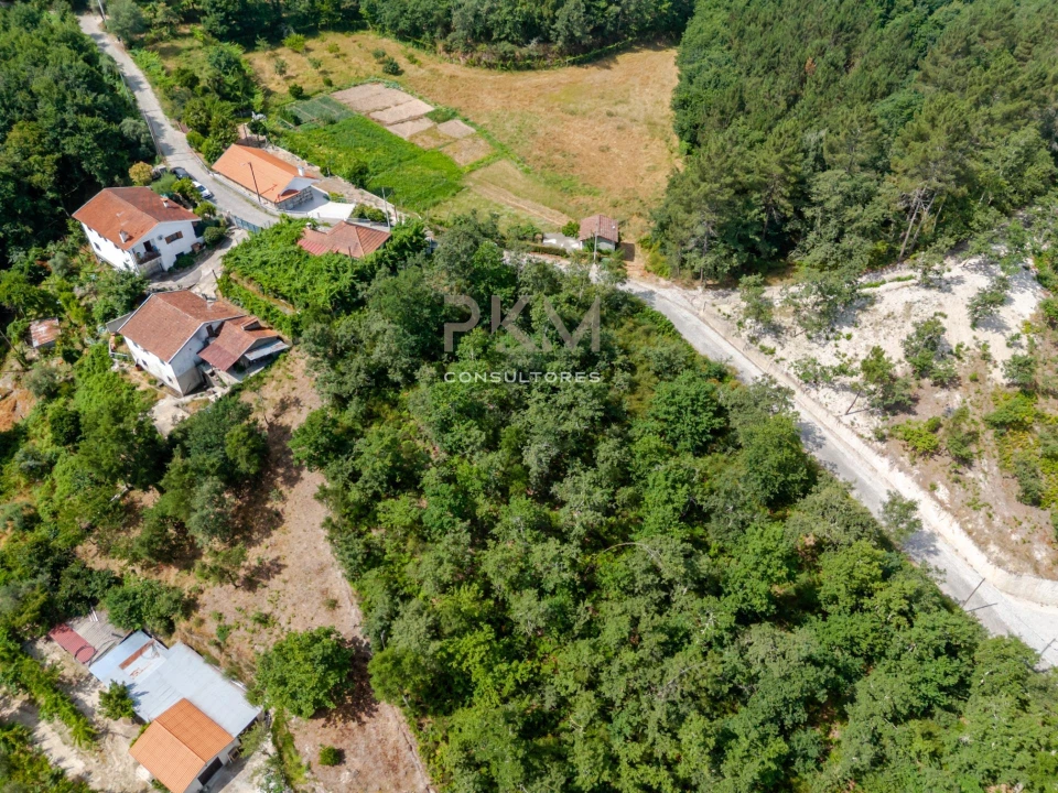 Terreno para Venda em Vila Chã do Marão Foto 44