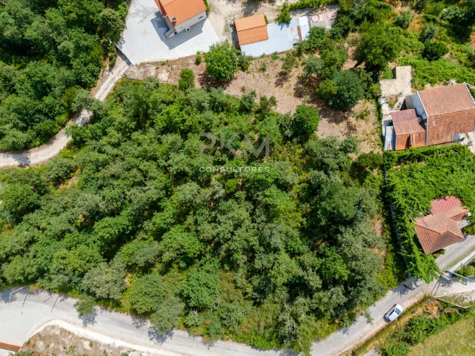 Terreno para Venda em Vila Chã do Marão Foto 48