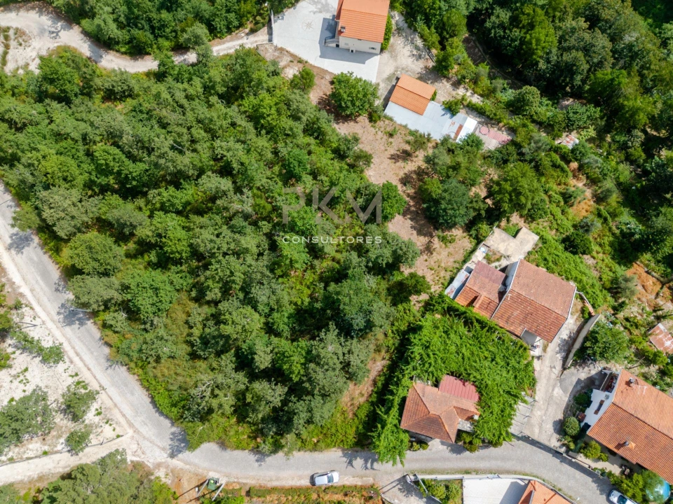 Terreno para Venda em Vila Chã do Marão Foto 6