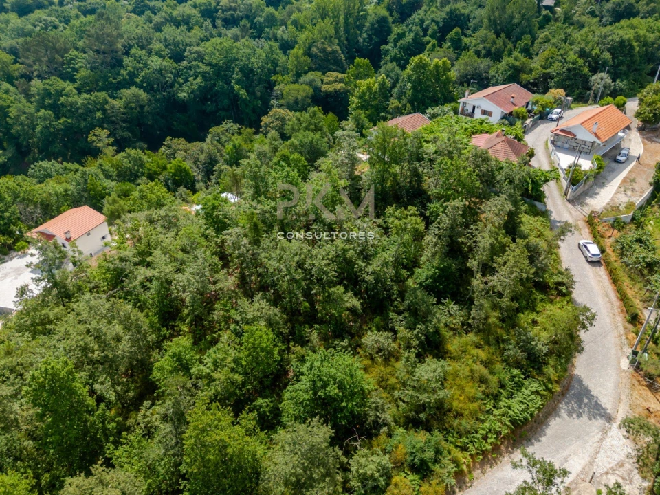 Terreno para Venda em Vila Chã do Marão Foto 9