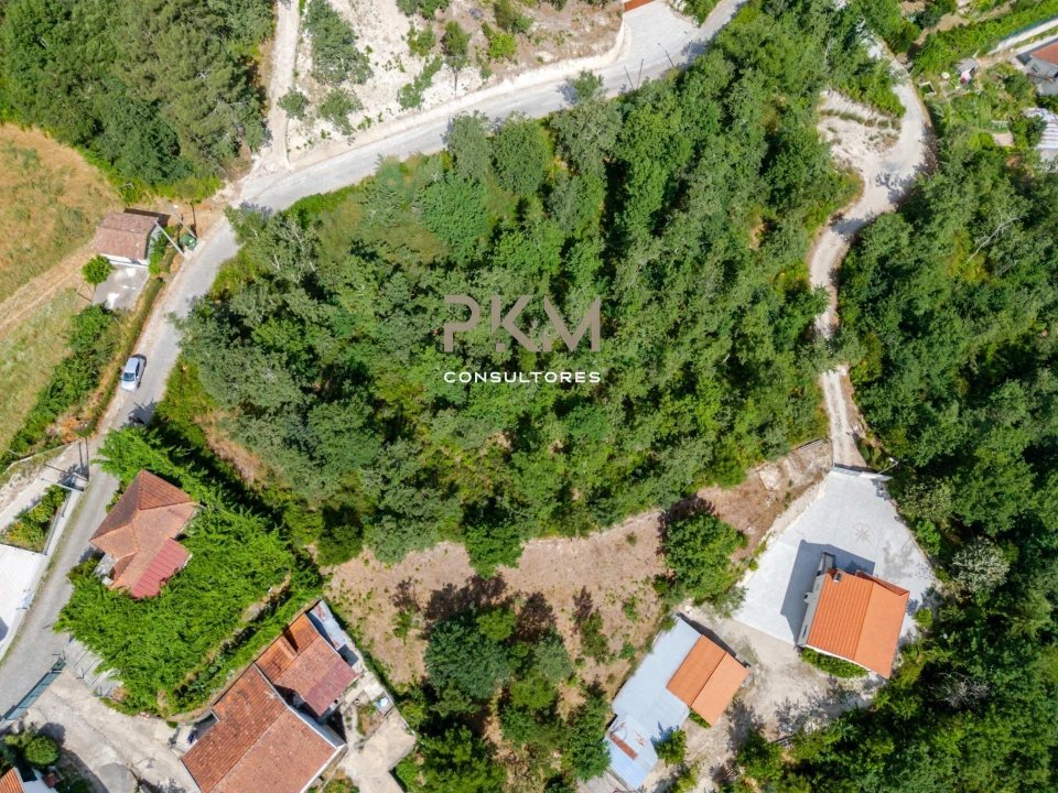 Terreno para Venda em Vila Chã do Marão Foto 4