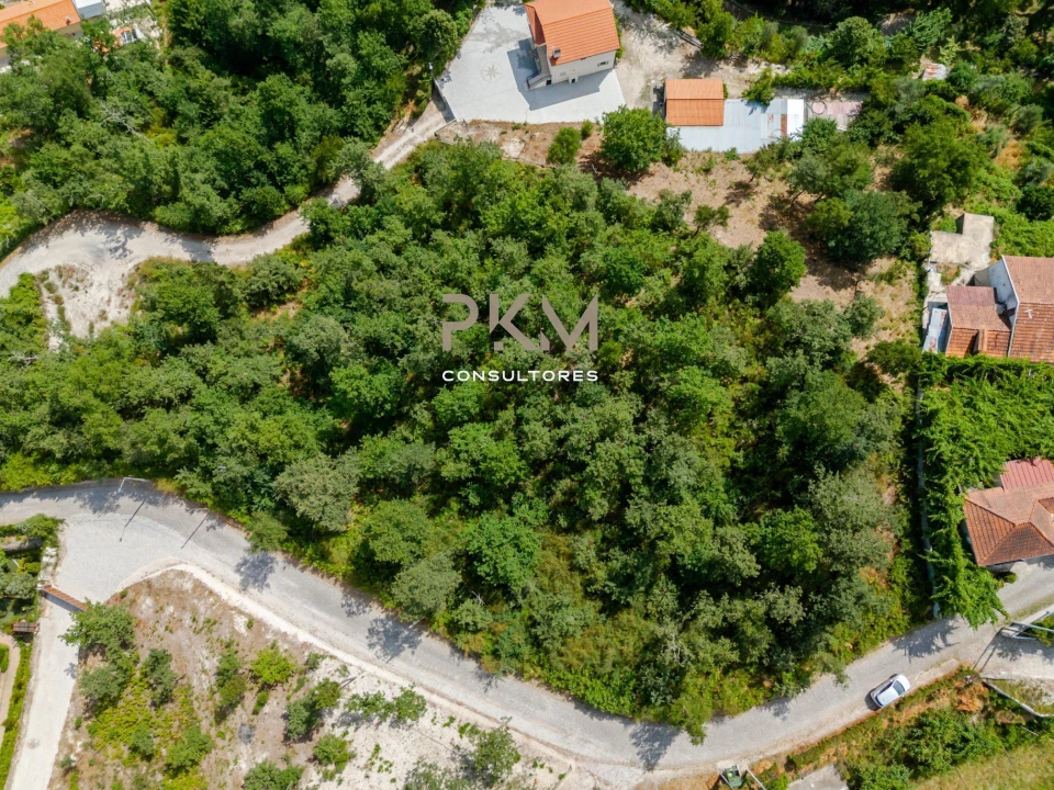 Terreno para Venda em Vila Chã do Marão Foto 7