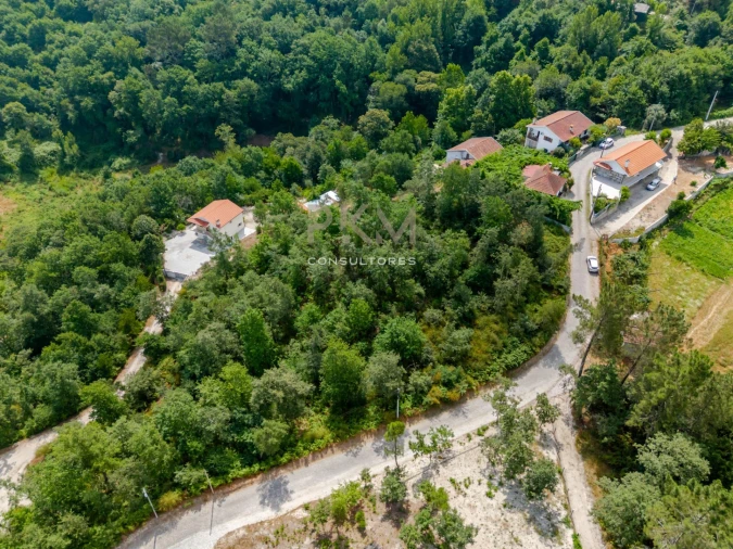 Terreno para Venda em Vila Chã do Marão Foto 10