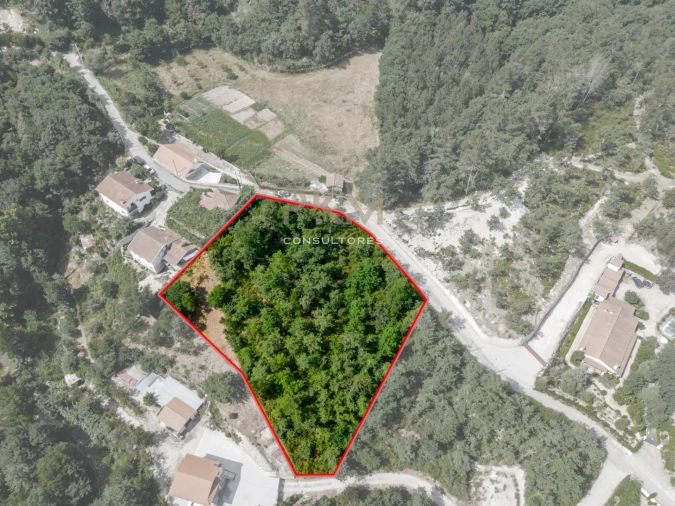 Terreno para Venda em Vila Chã do Marão Foto 2