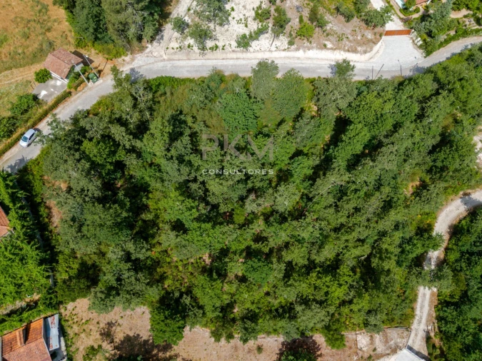 Terreno para Venda em Vila Chã do Marão Foto 27