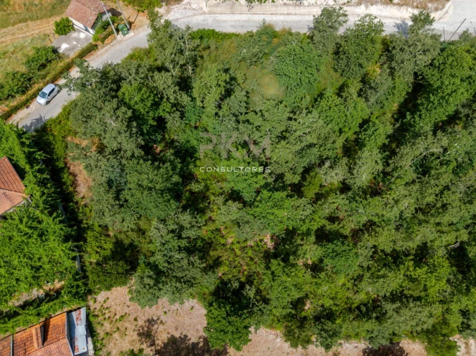 Terreno para Venda em Vila Chã do Marão Foto 28
