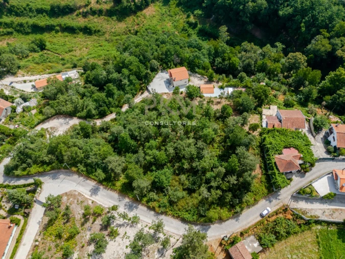 Terreno para Venda em Vila Chã do Marão Foto 8