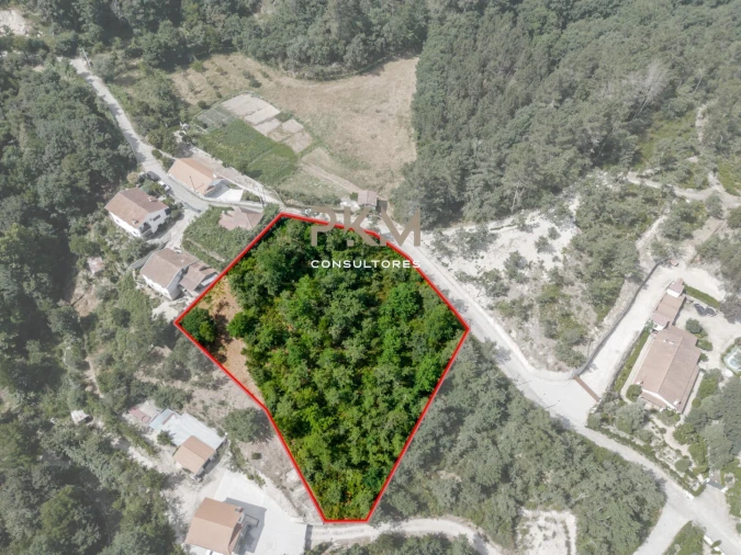 Terreno para Venda em Vila Chã do Marão Foto 2