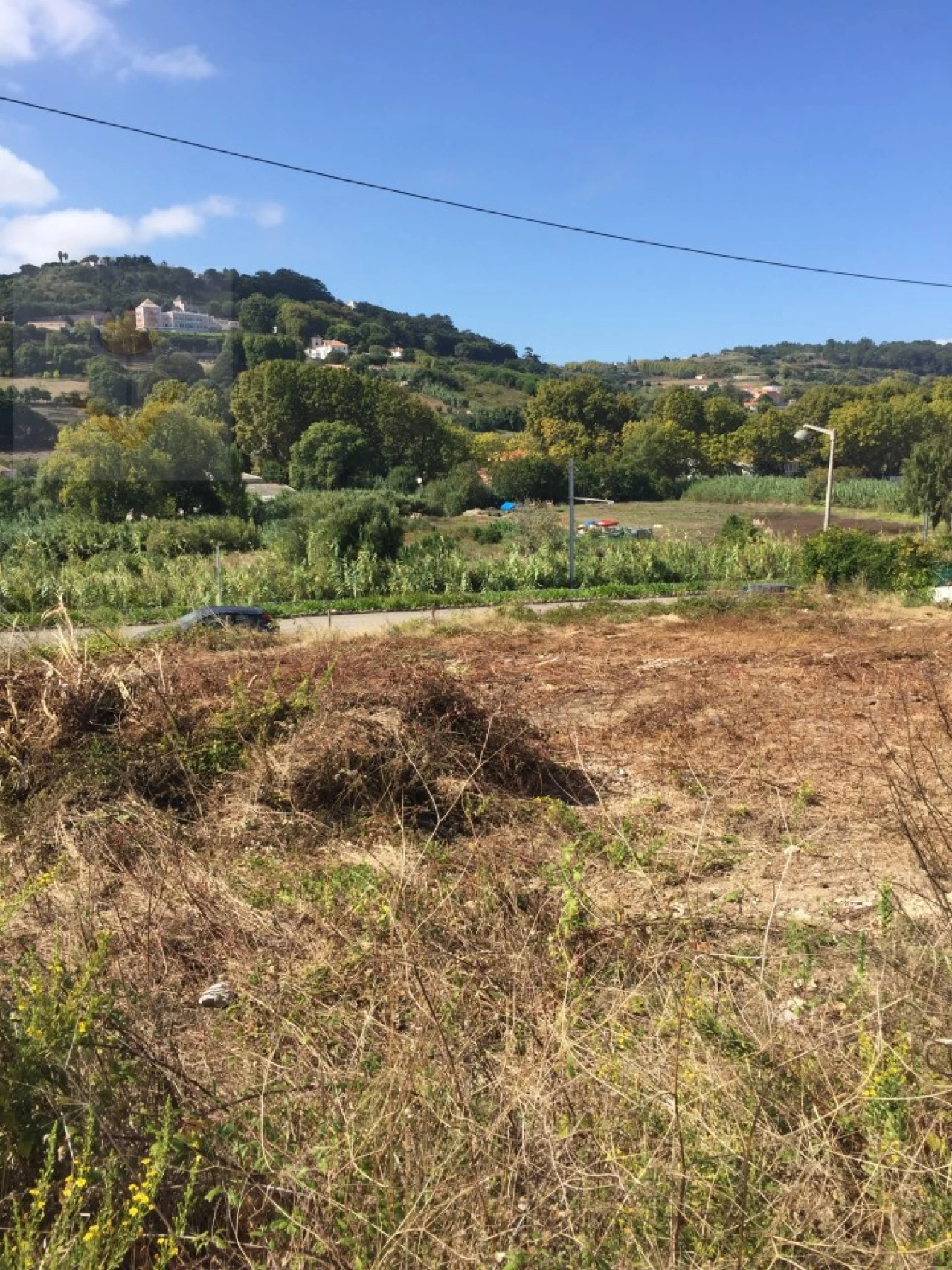 Terreno para Venda em Colares Foto 3