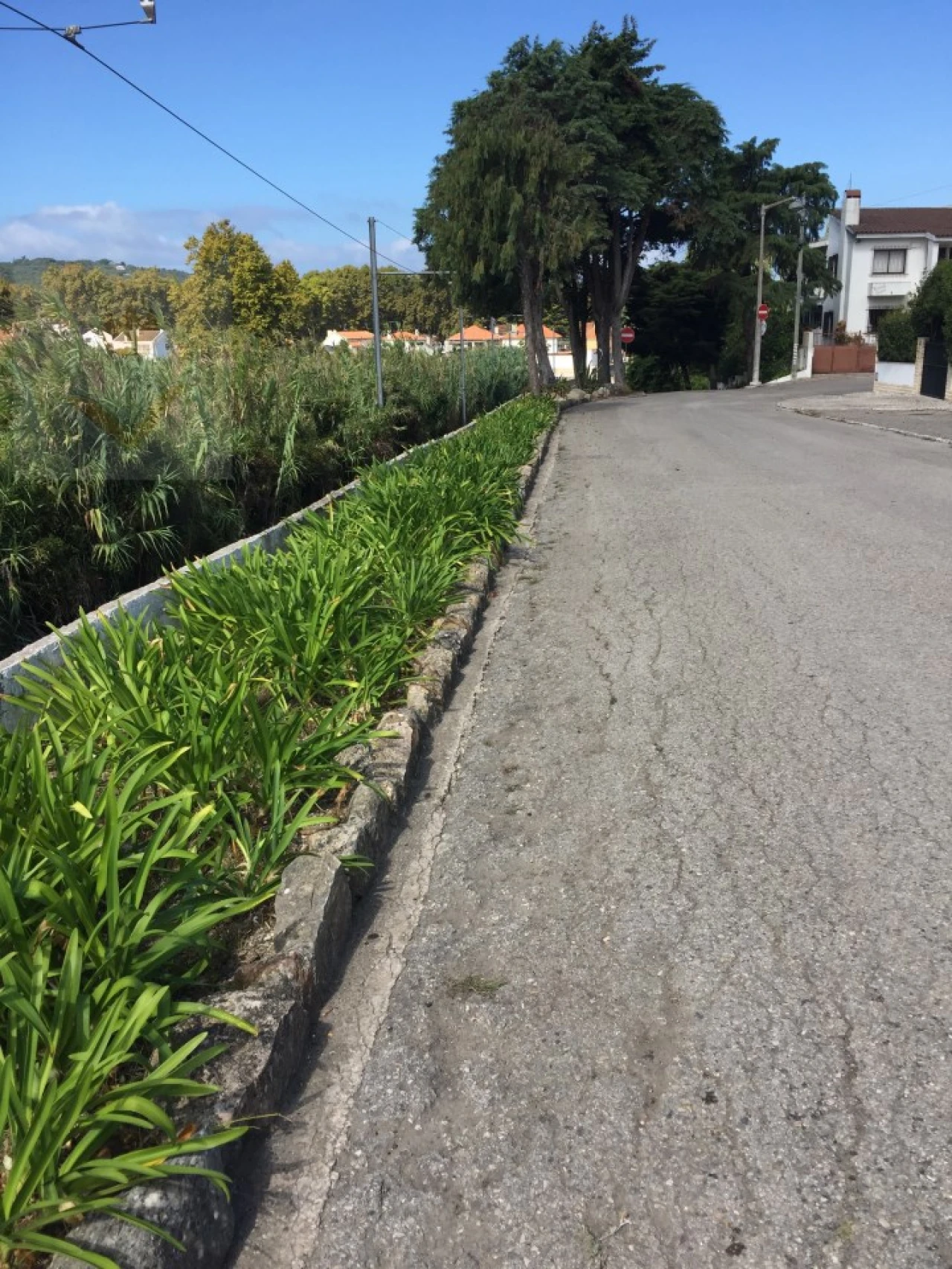 Terreno para Venda em Colares Foto 5