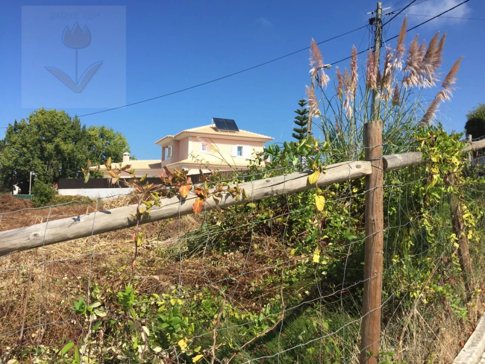 Terreno para Venda em Colares Foto 1