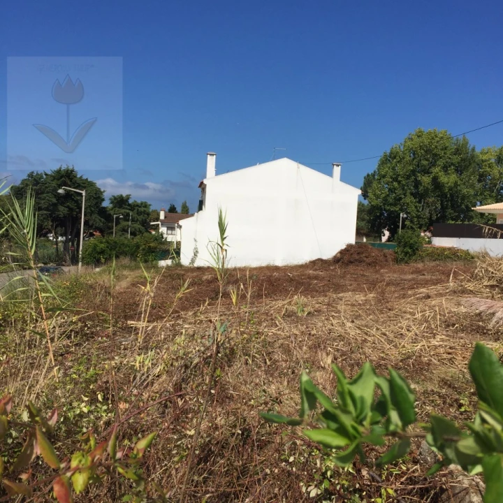 Terreno para Venda em Colares Foto 4