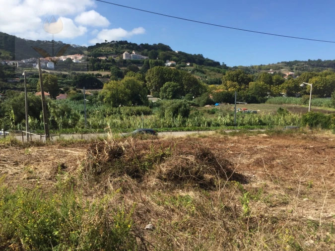 Terreno para Venda em Colares Foto 2