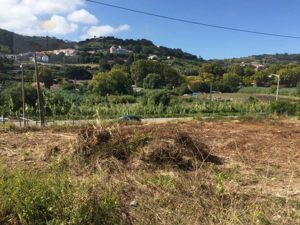 Terreno para Venda em Colares Foto 2