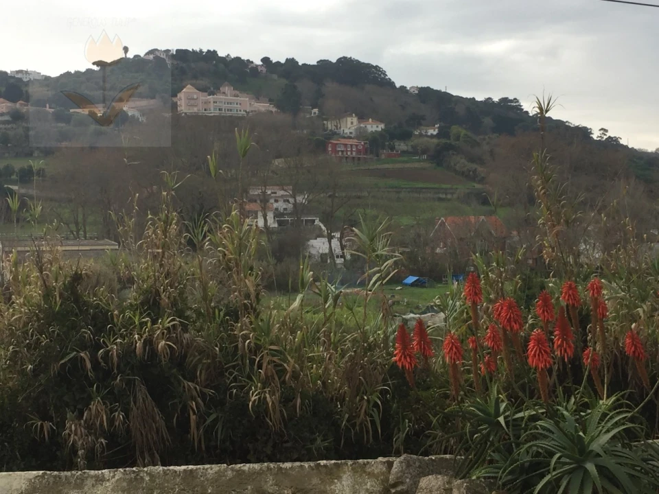 Terreno para Venda em Colares Foto 5