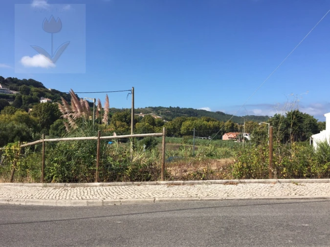 Terreno para Venda em Colares Foto 3