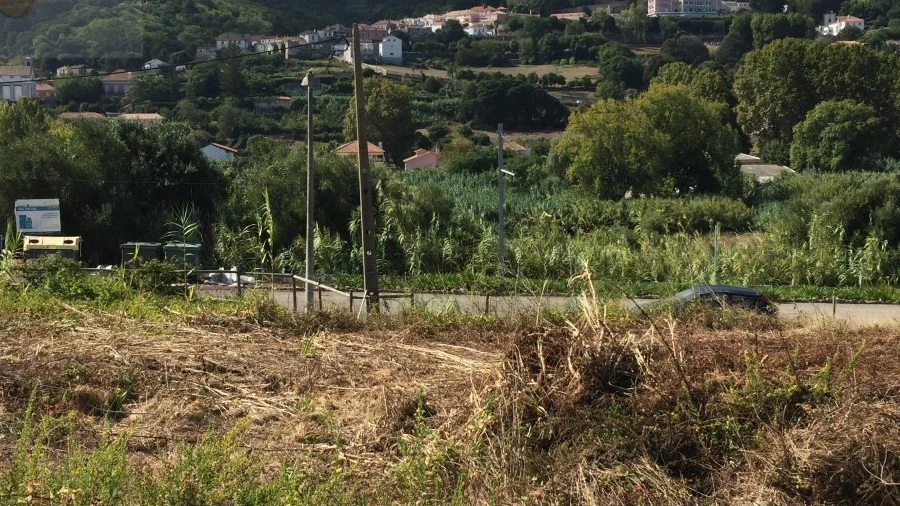 Terreno para Venda em Colares