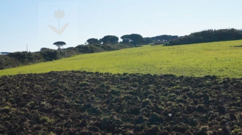 Terreno para Venda em São João das Lampas e Terrugem