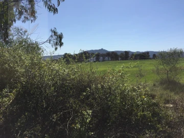 Terreno para Venda em Santa Maria e São Miguel, São Martinho, São Pedro Penaferrim
