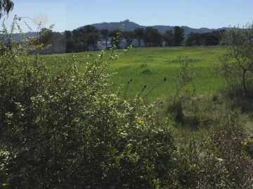 Terreno para Venda em Santa Maria e São Miguel, São Martinho, São Pedro Penaferrim