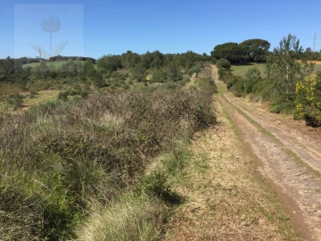 Terreno para Venda em Santa Maria e São Miguel, São Martinho, São Pedro Penaferrim