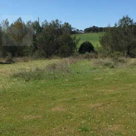 Terreno para Venda em Santa Maria e São Miguel, São Martinho, São Pedro Penaferrim