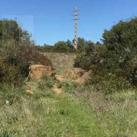 Terreno para Venda em Santa Maria e São Miguel, São Martinho, São Pedro Penaferrim