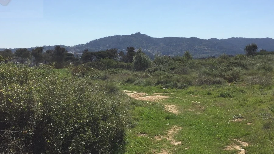 Terreno para Venda em Santa Maria e São Miguel, São Martinho, São Pedro Penaferrim