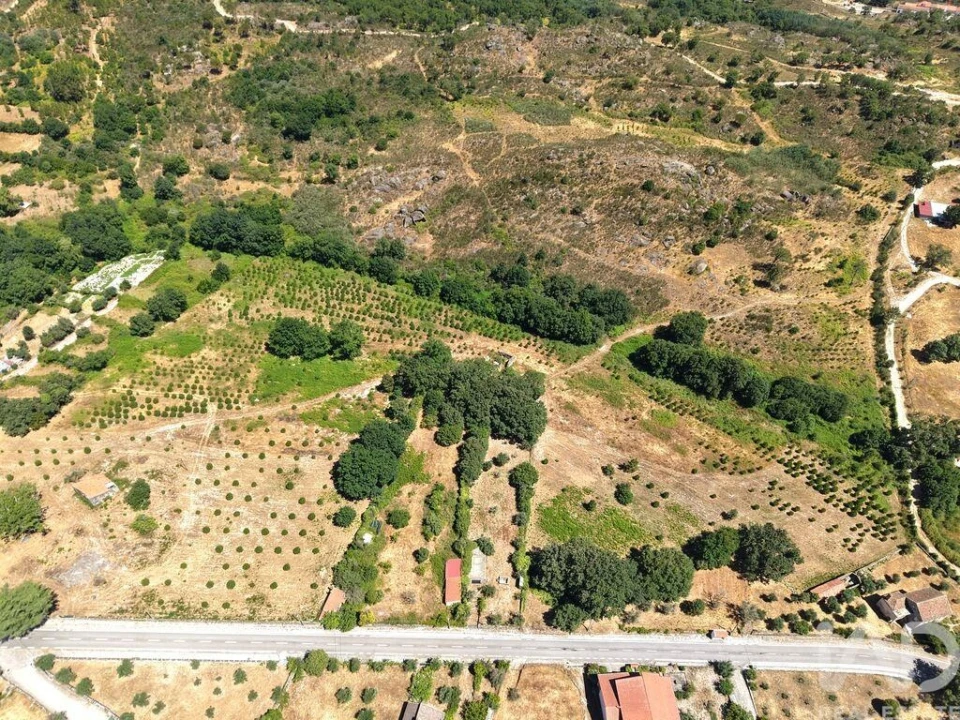 Terreno para Venda em Abrunhosa-A-Velha Foto 7
