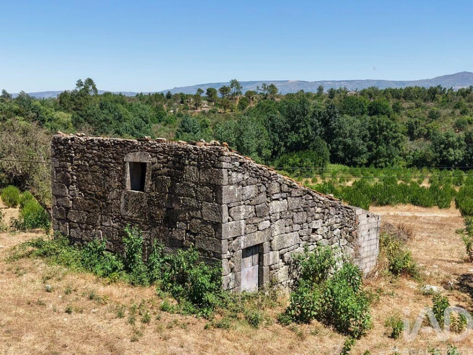 Terreno para Venda em Abrunhosa-A-Velha Foto 4