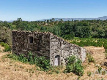 Terreno para Venda em Abrunhosa-A-Velha