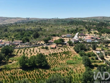 Terreno para Venda em Abrunhosa-A-Velha