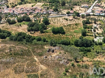 Terreno para Venda em Abrunhosa-A-Velha