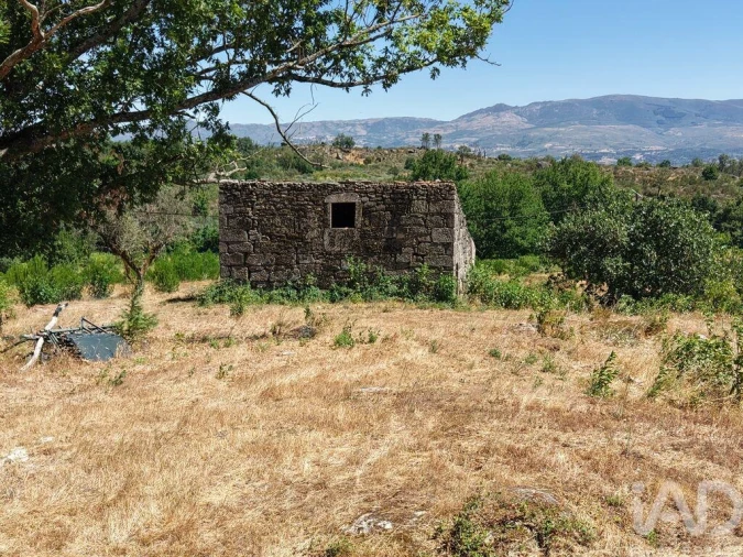 Terreno para Venda em Abrunhosa-A-Velha Foto 12