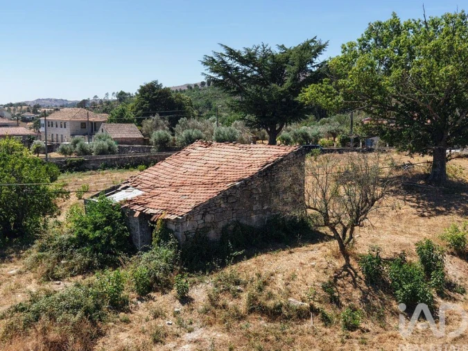 Terreno para Venda em Abrunhosa-A-Velha Foto 6
